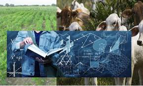 Modelos Matemáticos Aplicados a la Agricultura 7° C