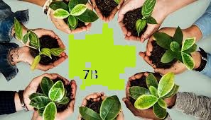 Cultivos Energéticos 7° B