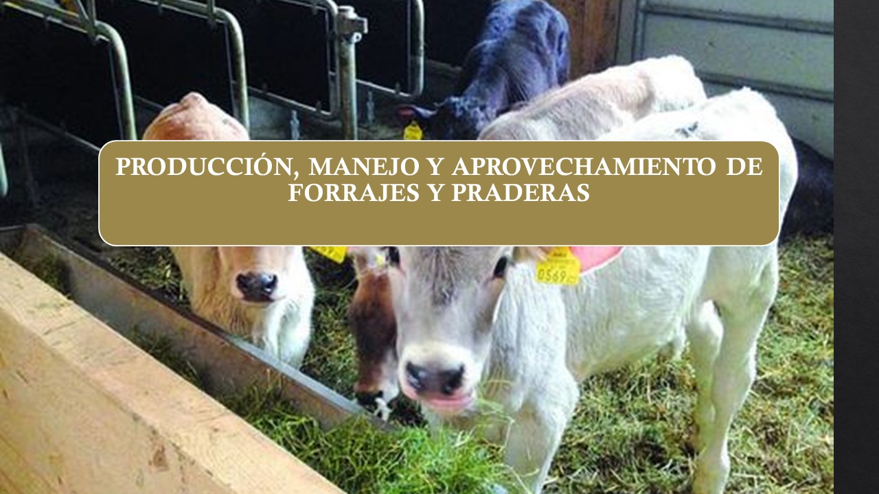 Producción, manejo y aprovechamiento de forrajes y praderas 8° 