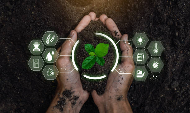 Tecnologías de la Información y Comunicación AGRO 1B
